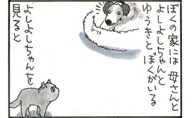 夜廻り猫【第一〇二八話】ぼくの家